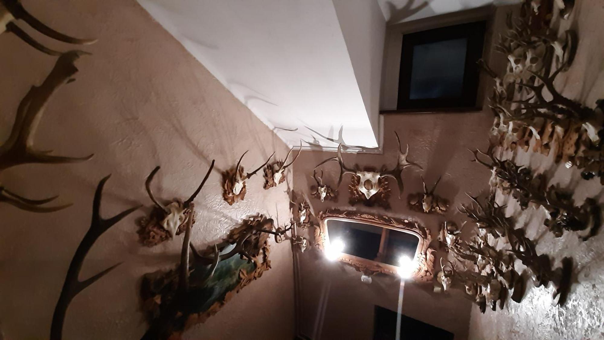 Apartamento Затишок В Карпатах Skole Exterior foto